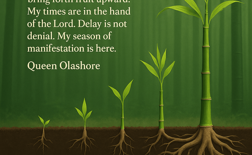 Wealth Creation Series: Growth Is a&nbsp;Process